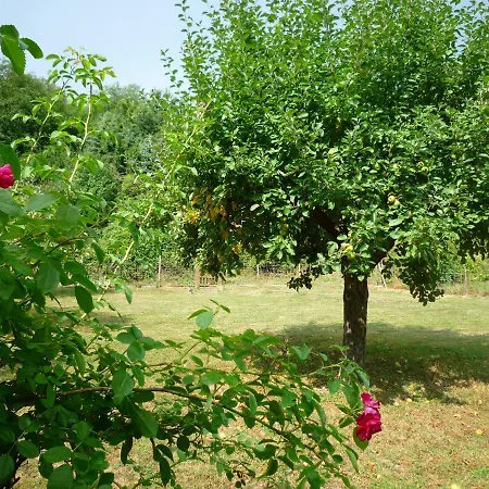 Apartment Gaestehaus La Madonnina Bad Breisig