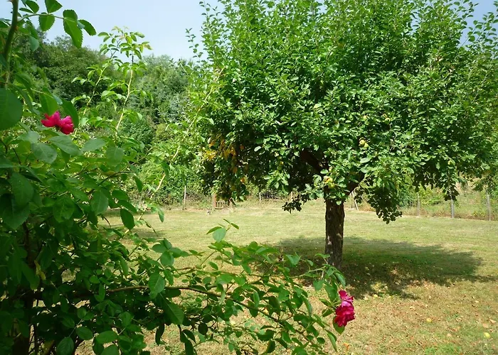 Apartamento Gaestehaus La Madonnina Bad Breisig